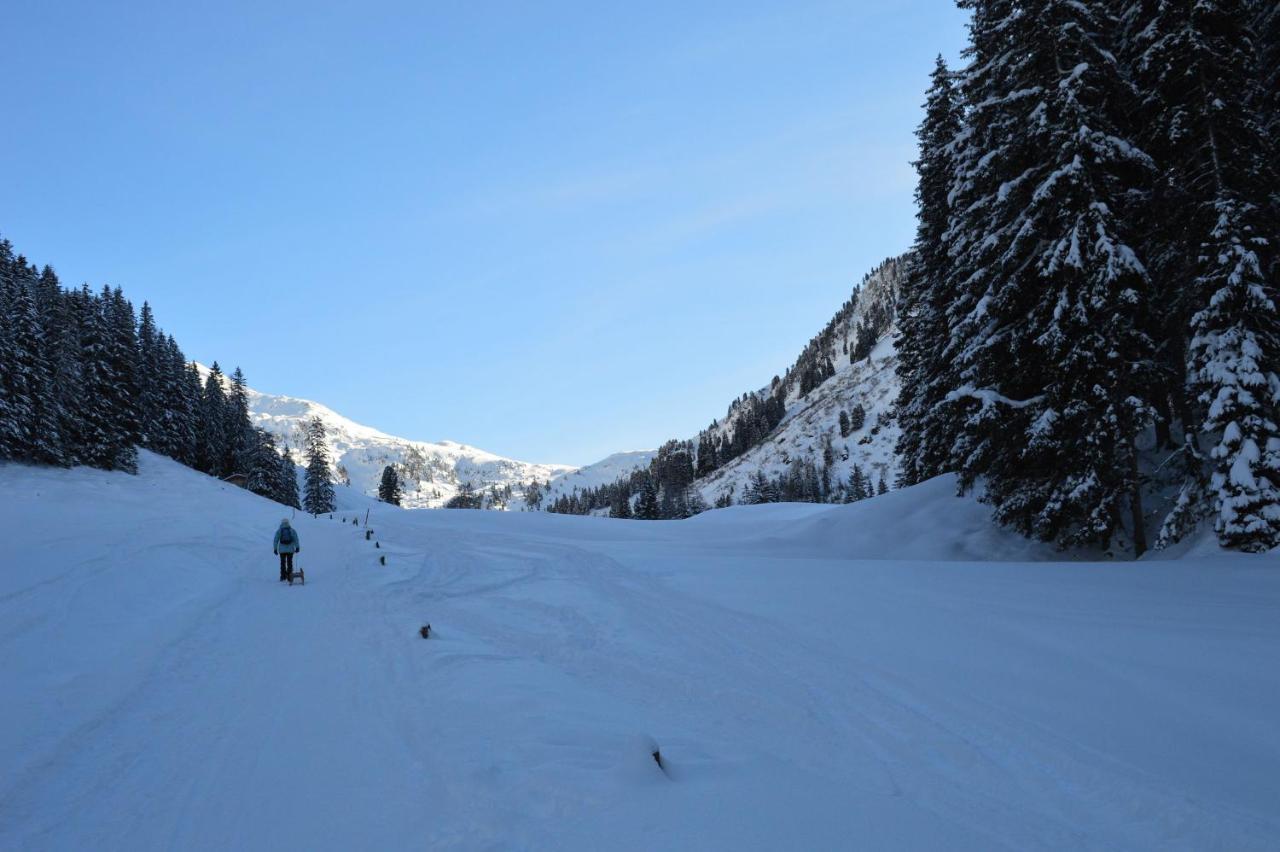 Ferienwohnungen Lehenhof Alpbach Dış mekan fotoğraf