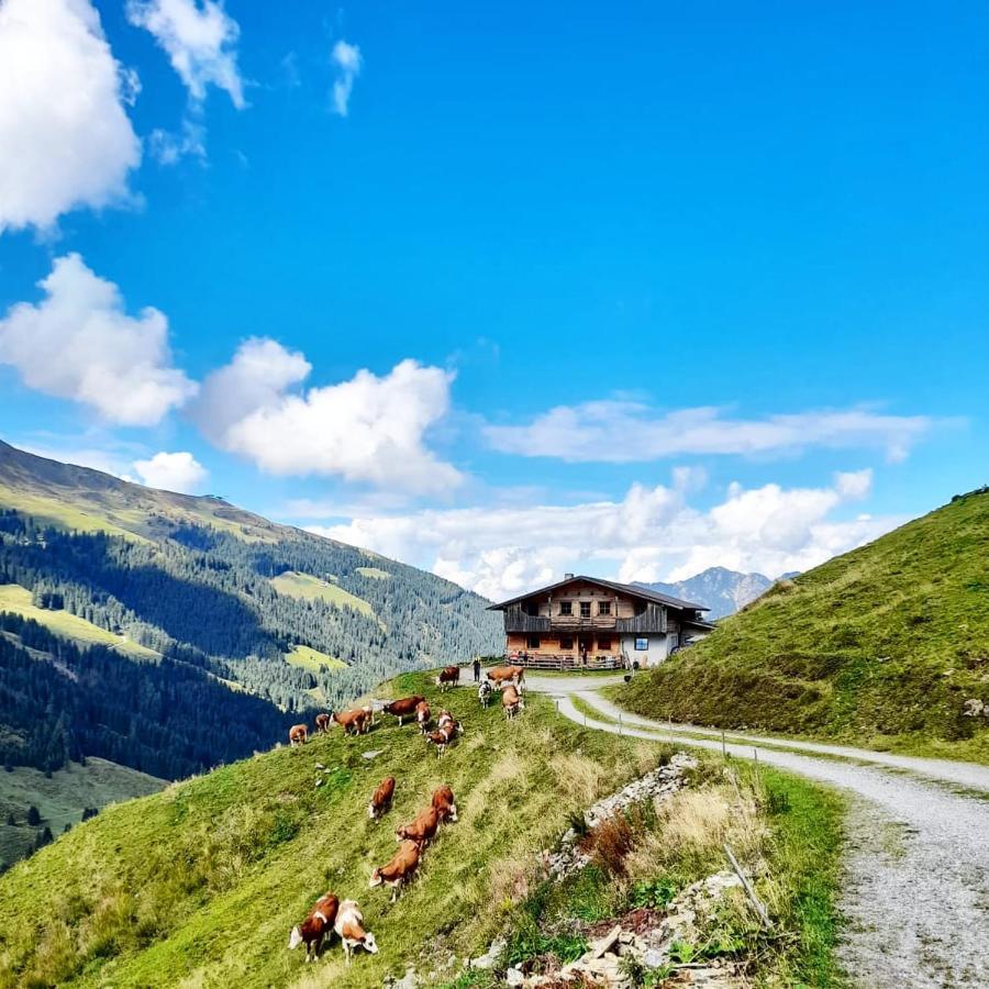 Ferienwohnungen Lehenhof Alpbach Dış mekan fotoğraf