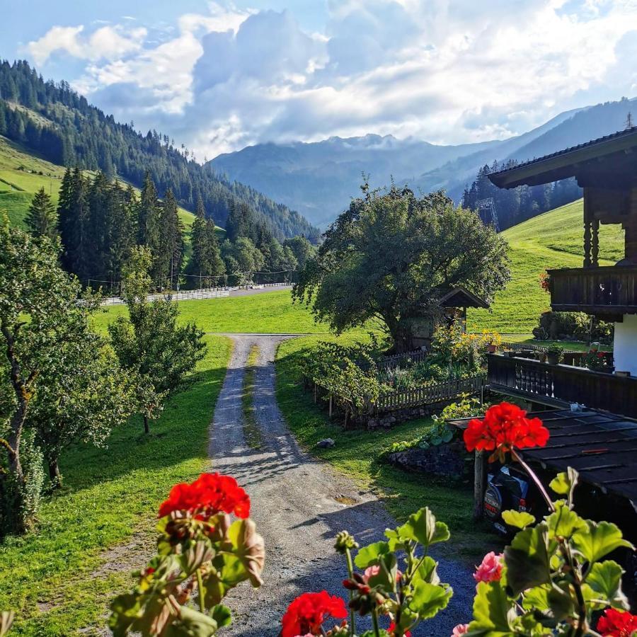 Ferienwohnungen Lehenhof Alpbach Dış mekan fotoğraf
