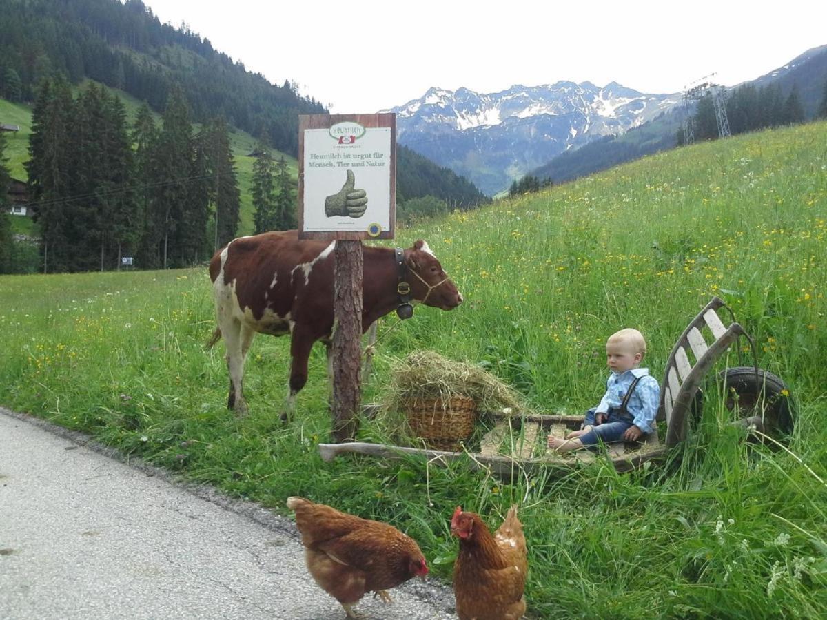 Ferienwohnungen Lehenhof Alpbach Dış mekan fotoğraf