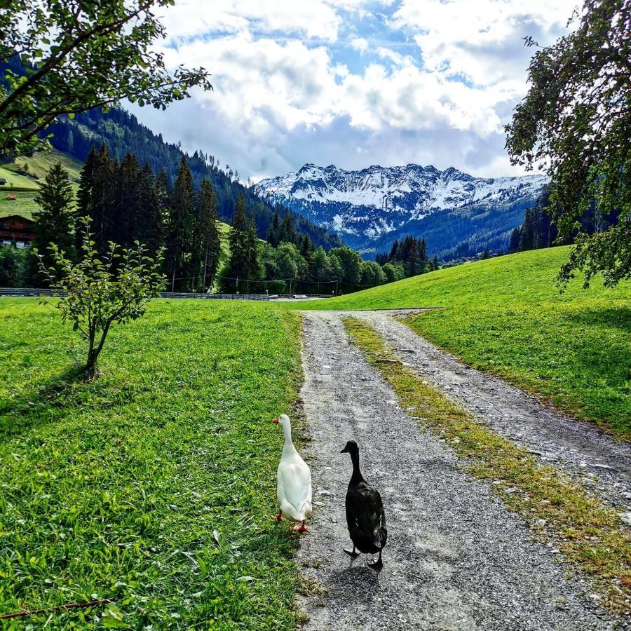 Ferienwohnungen Lehenhof Alpbach Dış mekan fotoğraf