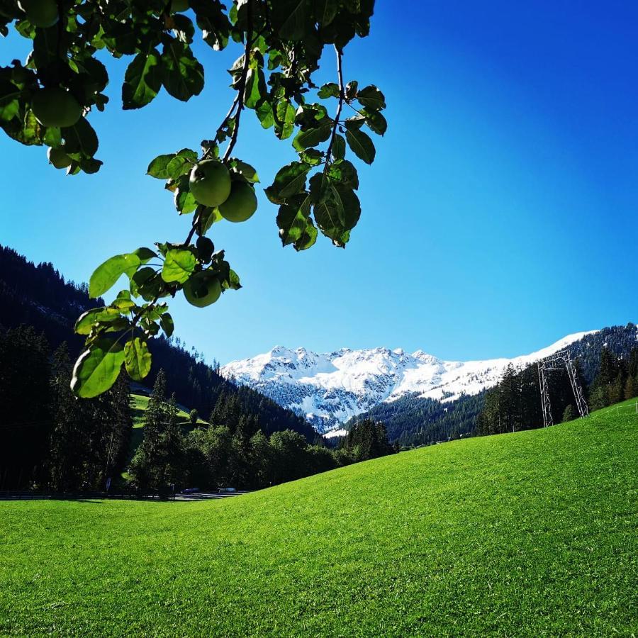 Ferienwohnungen Lehenhof Alpbach Dış mekan fotoğraf