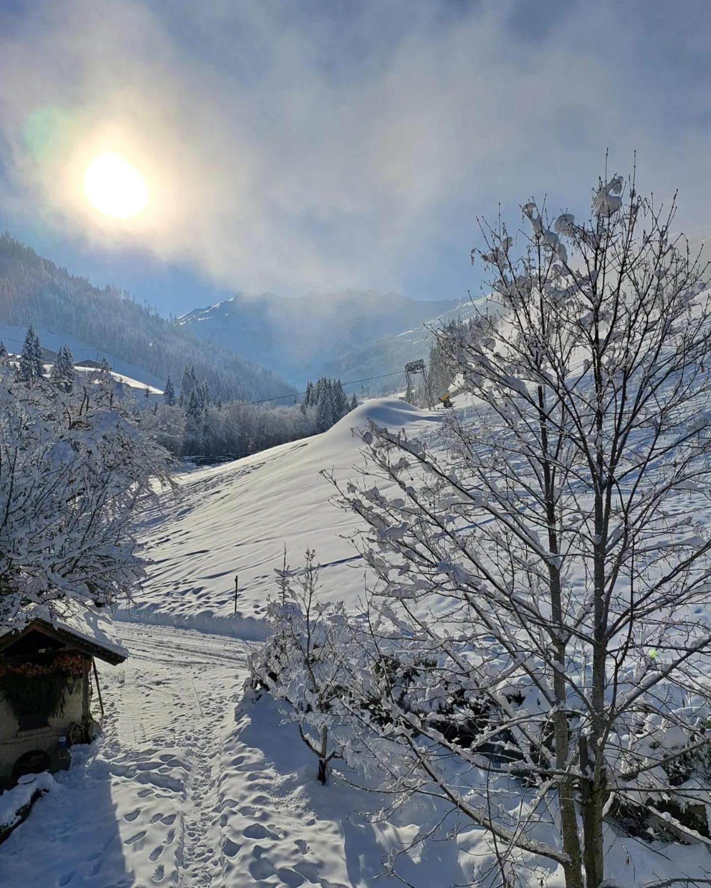 Ferienwohnungen Lehenhof Alpbach Dış mekan fotoğraf